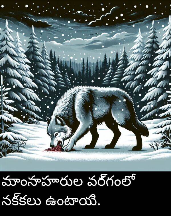 నక్కలు: మాంసాహారుల వర్గంలో నక్కలు ఉంటాయి.