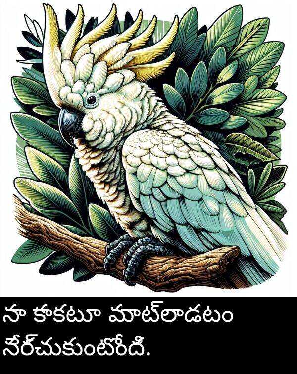 కాకటూ: నా కాకటూ మాట్లాడటం నేర్చుకుంటోంది.