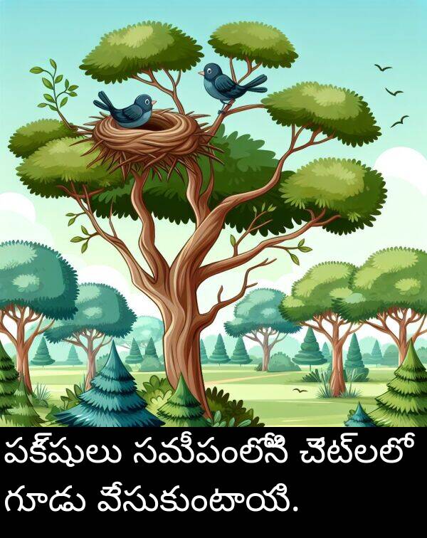 సమీపంలోని: పక్షులు సమీపంలోని చెట్లలో గూడు వేసుకుంటాయి.