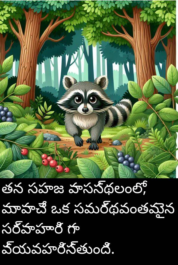 మాపాచే: తన సహజ వాసస్థలంలో, మాపాచే ఒక సమర్థవంతమైన సర్వాహారి గా వ్యవహరిస్తుంది.