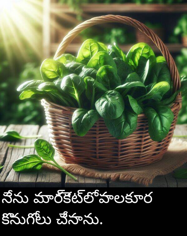 మార్కెట్లో: నేను మార్కెట్లో పాలకూర కొనుగోలు చేసాను.
