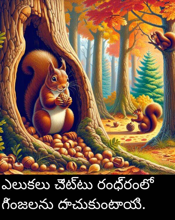 గింజలను: ఎలుకలు చెట్టు రంధ్రంలో గింజలను దాచుకుంటాయి.