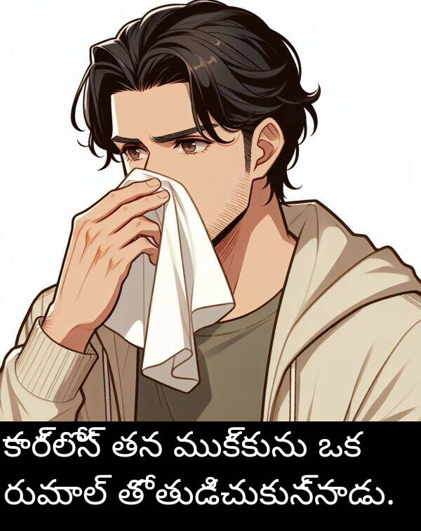 ముక్కును: కార్లోస్ తన ముక్కును ఒక రుమాల్ తో తుడిచుకున్నాడు.