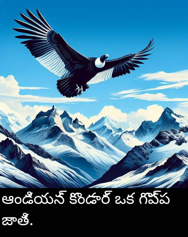 ఆండియన్: ఆండియన్ కొండార్ ఒక గొప్ప జాతి.