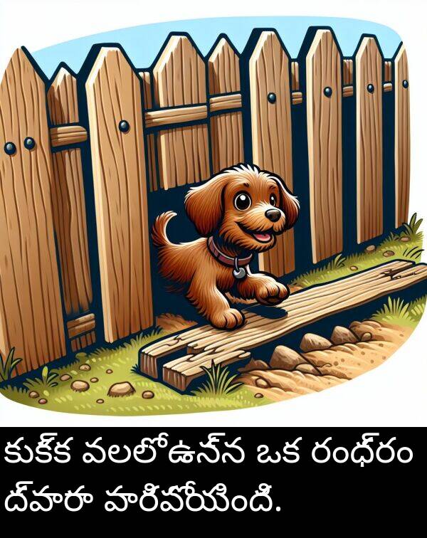 రంధ్రం: కుక్క వలలో ఉన్న ఒక రంధ్రం ద్వారా పారిపోయింది.