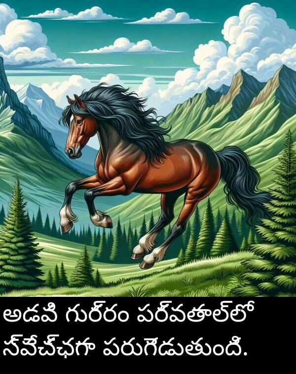 అడవి: అడవి గుర్రం పర్వతాల్లో స్వేచ్ఛగా పరుగెడుతుంది.