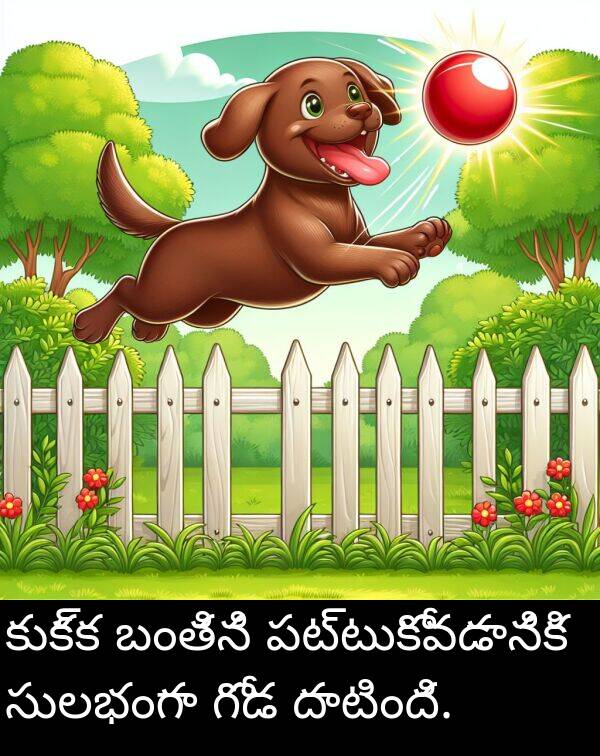 బంతిని: కుక్క బంతిని పట్టుకోవడానికి సులభంగా గోడ దాటింది.