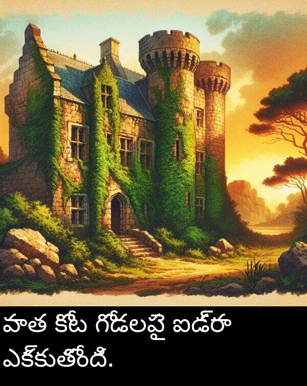 ఎక్కుతోంది: పాత కోట గోడలపై ఐడ్రా ఎక్కుతోంది.