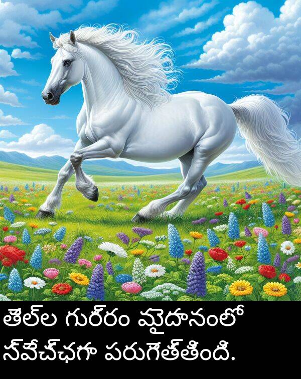 తెల్ల: తెల్ల గుర్రం మైదానంలో స్వేచ్ఛగా పరుగెత్తింది.