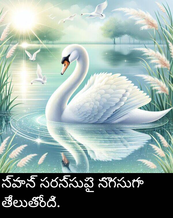 సొగసుగా: స్వాన్ సరస్సుపై సొగసుగా తేలుతోంది.