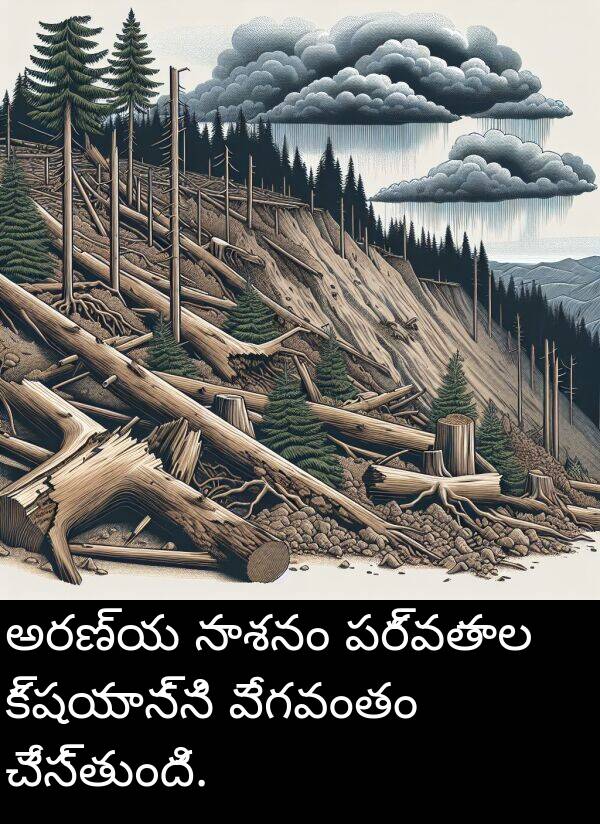 నాశనం: అరణ్య నాశనం పర్వతాల క్షయాన్ని వేగవంతం చేస్తుంది.