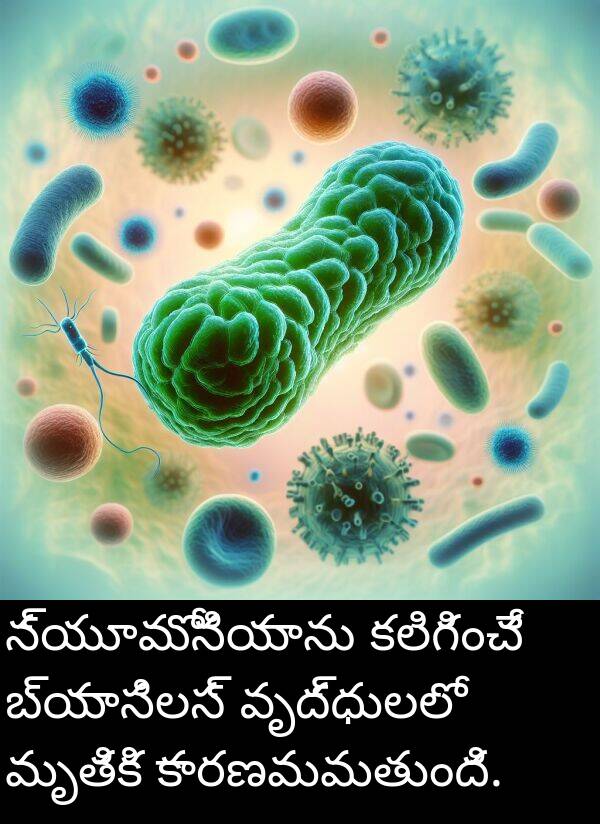 కలిగించే: న్యూమోనియాను కలిగించే బ్యాసిలస్ వృద్ధులలో మృతికి కారణమవుతుంది.