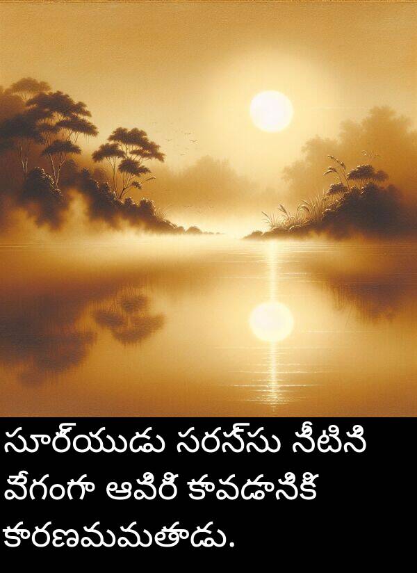 ఆవిరి: సూర్యుడు సరస్సు నీటిని వేగంగా ఆవిరి కావడానికి కారణమవుతాడు.