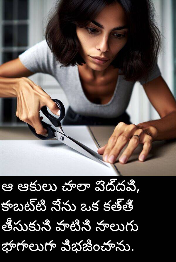 నాలుగు: ఆ ఆకులు చాలా పెద్దవి, కాబట్టి నేను ఒక కత్తి తీసుకుని వాటిని నాలుగు భాగాలుగా విభజించాను.