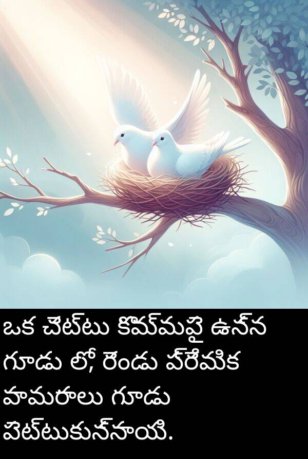 పావురాలు: ఒక చెట్టు కొమ్మపై ఉన్న గూడు లో, రెండు ప్రేమిక పావురాలు గూడు పెట్టుకున్నాయి.
