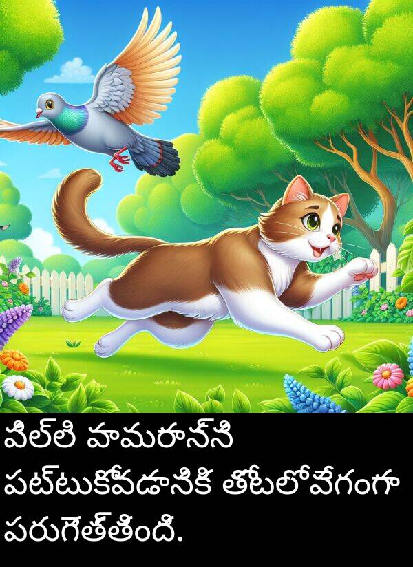పిల్లి: పిల్లి పావురాన్ని పట్టుకోవడానికి తోటలో వేగంగా పరుగెత్తింది.