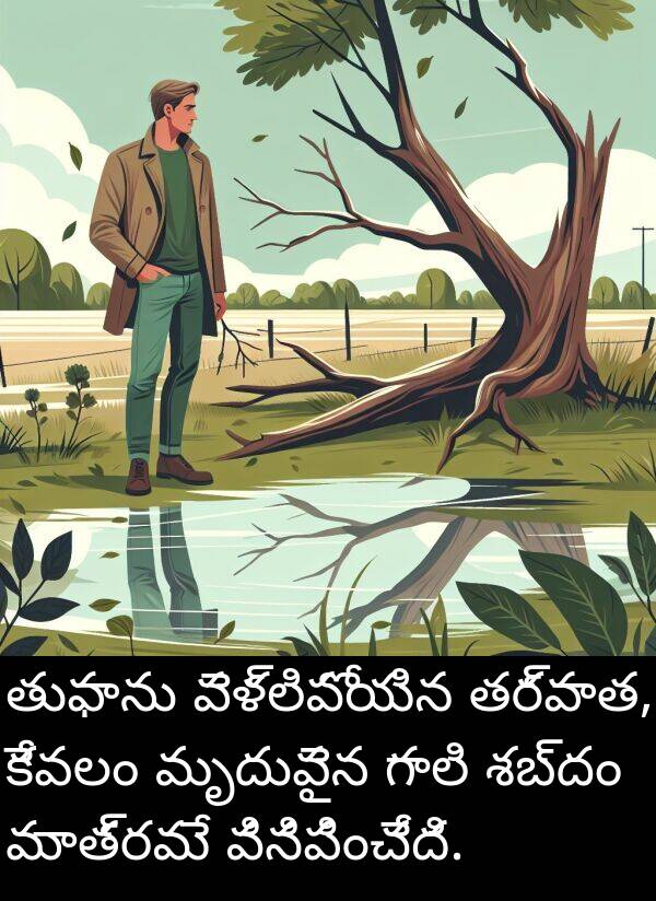 గాలి: తుఫాను వెళ్లిపోయిన తర్వాత, కేవలం మృదువైన గాలి శబ్దం మాత్రమే వినిపించేది.