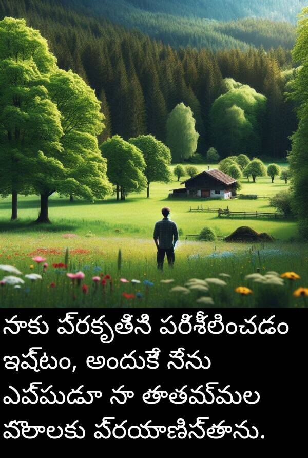 పరిశీలించడం: నాకు ప్రకృతిని పరిశీలించడం ఇష్టం, అందుకే నేను ఎప్పుడూ నా తాతమ్మల పొలాలకు ప్రయాణిస్తాను.