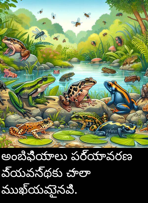 అంబిఫియాలు: అంబిఫియాలు పర్యావరణ వ్యవస్థకు చాలా ముఖ్యమైనవి.