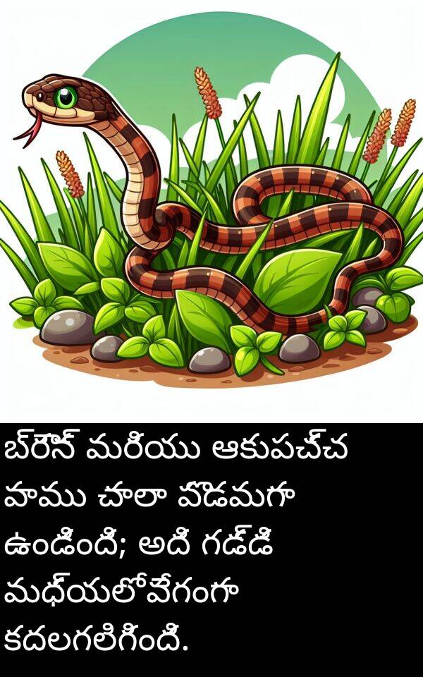 ఆకుపచ్చ: బ్రౌన్ మరియు ఆకుపచ్చ పాము చాలా పొడవుగా ఉండింది; అది గడ్డి మధ్యలో వేగంగా కదలగలిగింది.