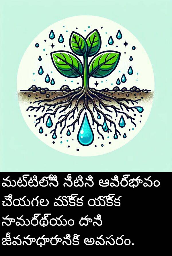 మట్టిలోని: మట్టిలోని నీటిని ఆవిర్భావం చేయగల మొక్క యొక్క సామర్థ్యం దాని జీవనాధారానికి అవసరం.