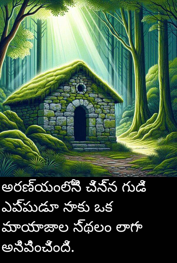 చిన్న: అరణ్యంలోని చిన్న గుడి ఎప్పుడూ నాకు ఒక మాయాజాల స్థలం లాగా అనిపించింది.