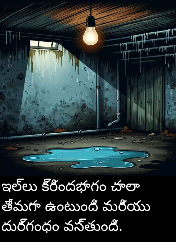 దుర్గంధం: ఇల్లు క్రిందభాగం చాలా తేమగా ఉంటుంది మరియు దుర్గంధం వస్తుంది.
