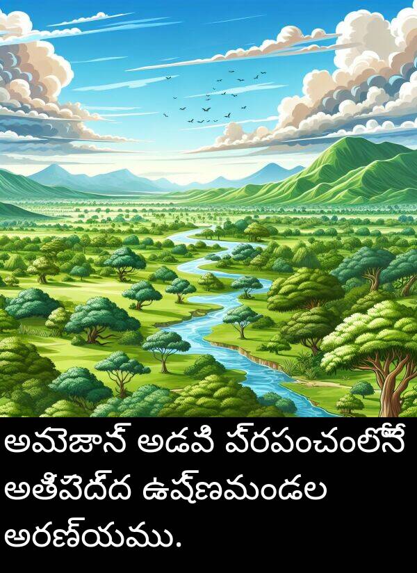 అతిపెద్ద: అమెజాన్ అడవి ప్రపంచంలోనే అతిపెద్ద ఉష్ణమండల అరణ్యము.