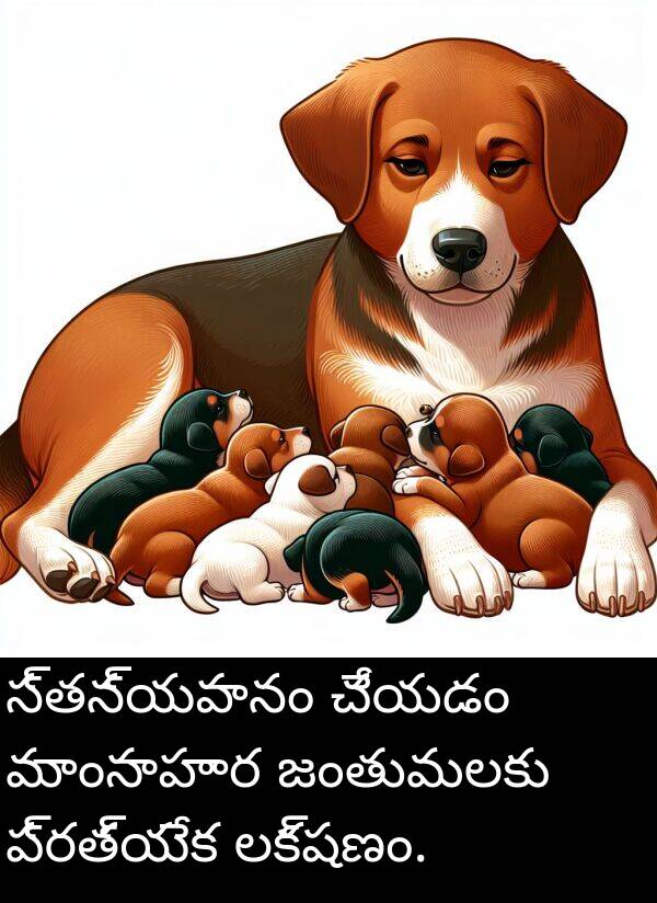 జంతువులకు: స్తన్యపానం చేయడం మాంసాహార జంతువులకు ప్రత్యేక లక్షణం.