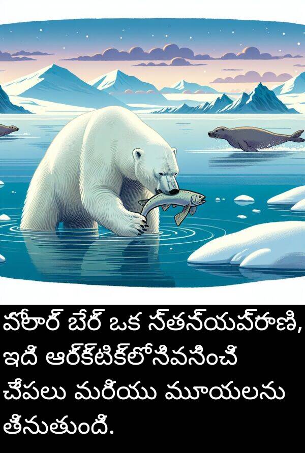పోలార్: పోలార్ బేర్ ఒక స్తన్యప్రాణి, ఇది ఆర్క్టిక్‌లో నివసించి చేపలు మరియు మూయలను తినుతుంది.