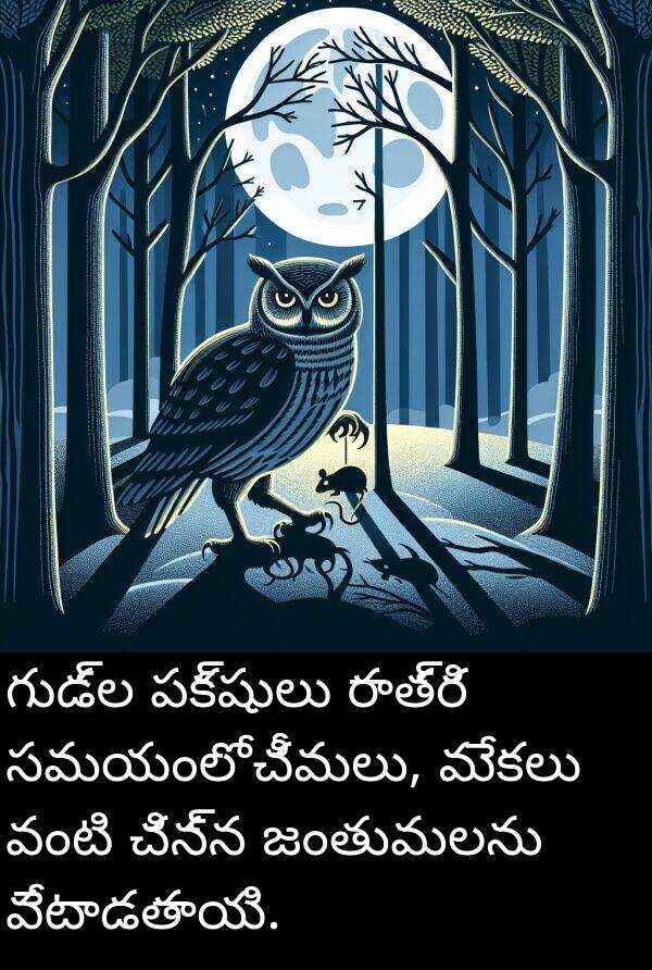 చీమలు: గుడ్ల పక్షులు రాత్రి సమయంలో చీమలు, మేకలు వంటి చిన్న జంతువులను వేటాడతాయి.