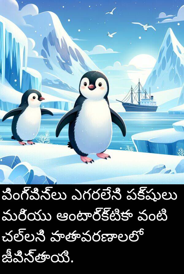 చల్లని: పింగ్విన్లు ఎగరలేని పక్షులు మరియు ఆంటార్క్టికా వంటి చల్లని వాతావరణాలలో జీవిస్తాయి.