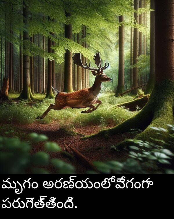 అరణ్యంలో: మృగం అరణ్యంలో వేగంగా పరుగెత్తింది.