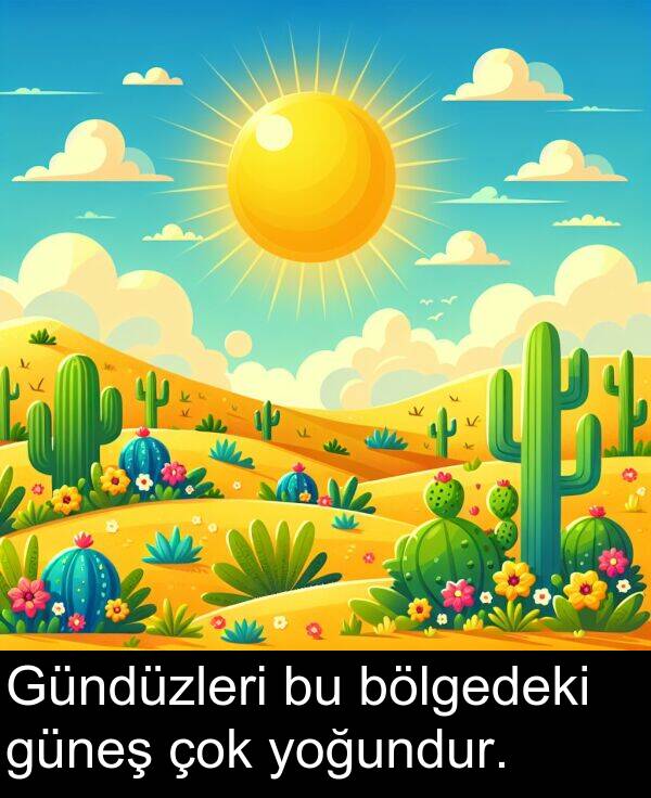 bölgedeki: Gündüzleri bu bölgedeki güneş çok yoğundur.