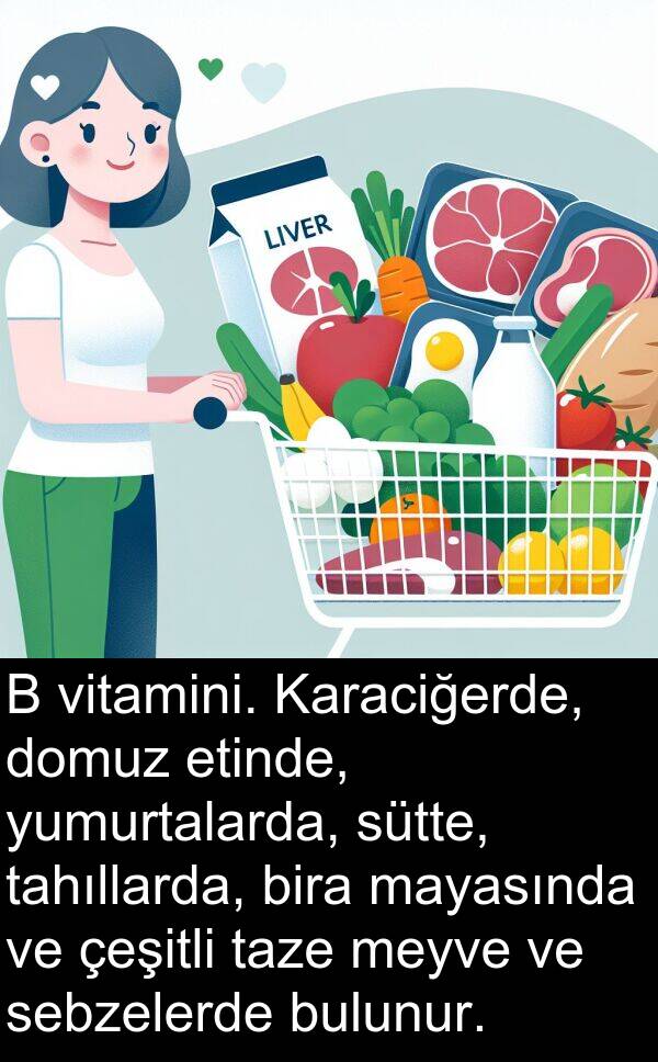 vitamini: B vitamini. Karaciğerde, domuz etinde, yumurtalarda, sütte, tahıllarda, bira mayasında ve çeşitli taze meyve ve sebzelerde bulunur.