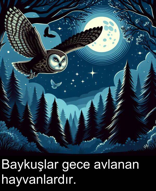 gece: Baykuşlar gece avlanan hayvanlardır.