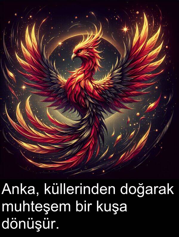 doğarak: Anka, küllerinden doğarak muhteşem bir kuşa dönüşür.