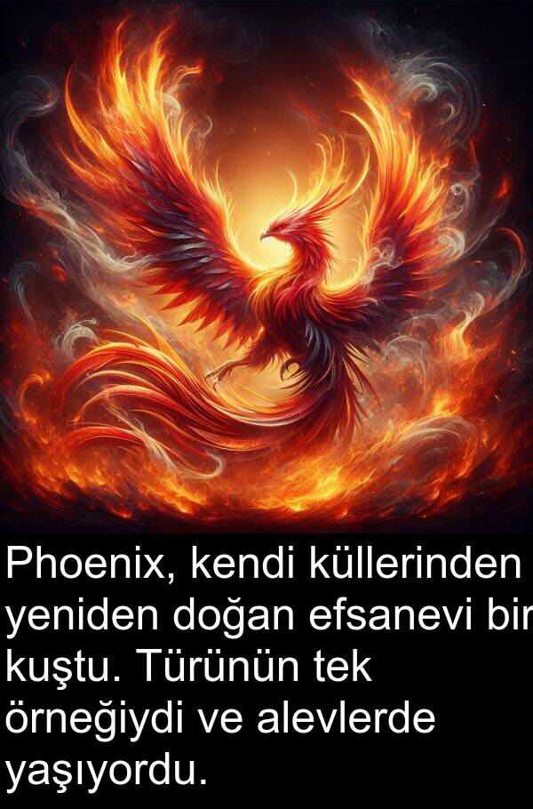alevlerde: Phoenix, kendi küllerinden yeniden doğan efsanevi bir kuştu. Türünün tek örneğiydi ve alevlerde yaşıyordu.