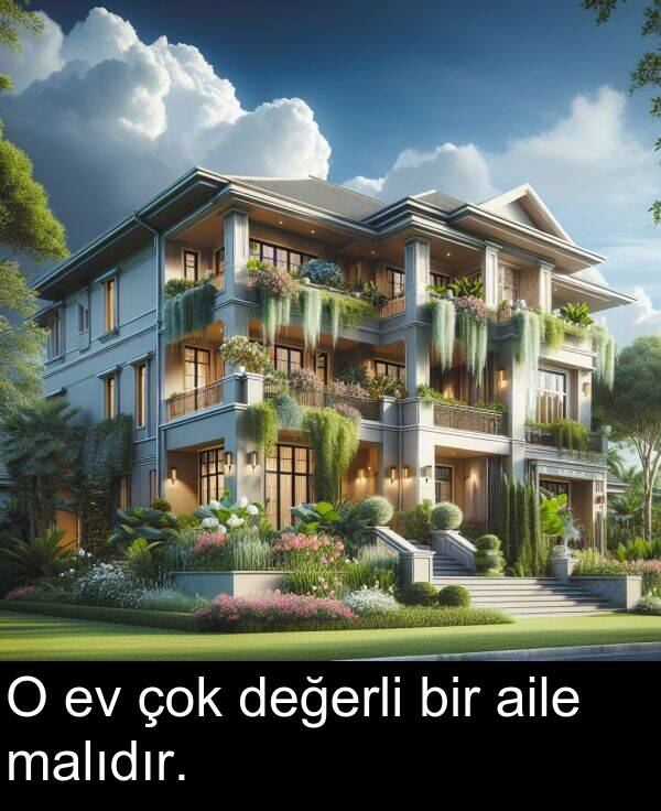 aile: O ev çok değerli bir aile malıdır.