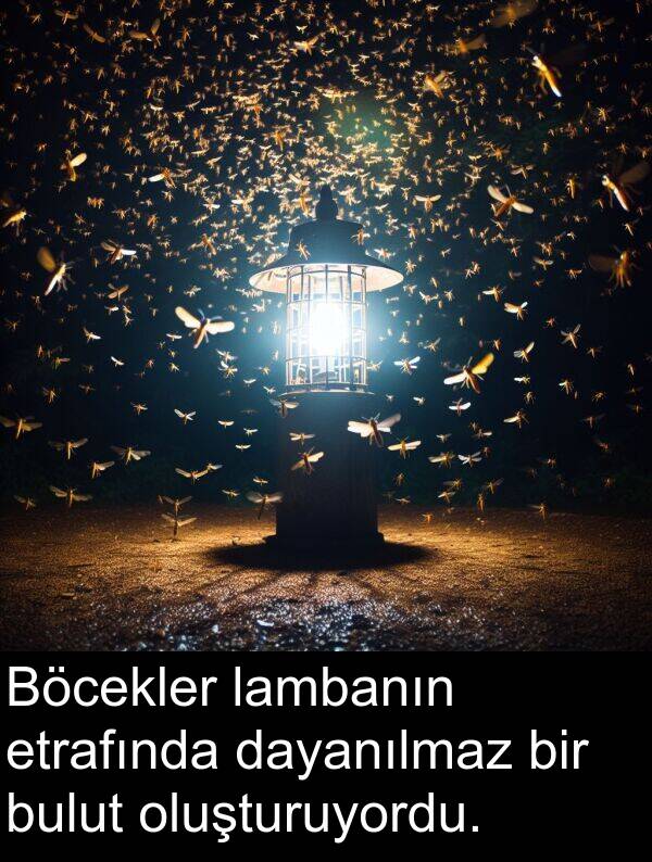 lambanın: Böcekler lambanın etrafında dayanılmaz bir bulut oluşturuyordu.