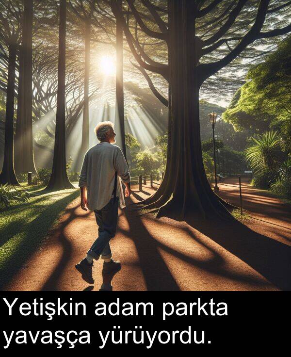 adam: Yetişkin adam parkta yavaşça yürüyordu.