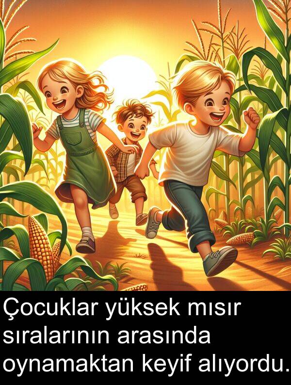 alıyordu: Çocuklar yüksek mısır sıralarının arasında oynamaktan keyif alıyordu.