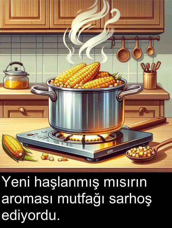 sarhoş: Yeni haşlanmış mısırın aroması mutfağı sarhoş ediyordu.