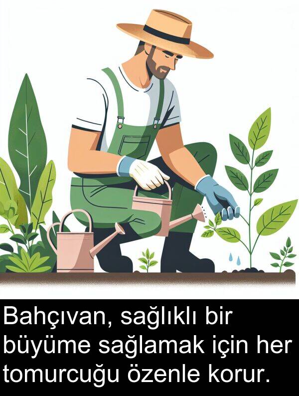 sağlıklı: Bahçıvan, sağlıklı bir büyüme sağlamak için her tomurcuğu özenle korur.