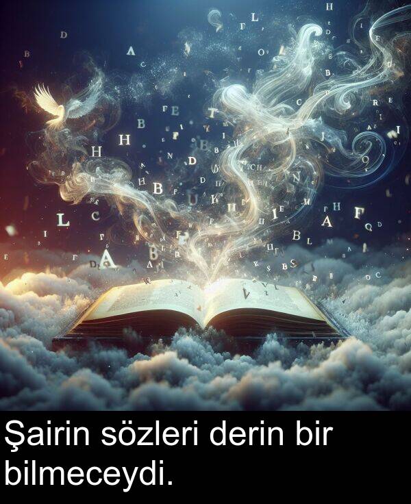 bilmeceydi: Şairin sözleri derin bir bilmeceydi.
