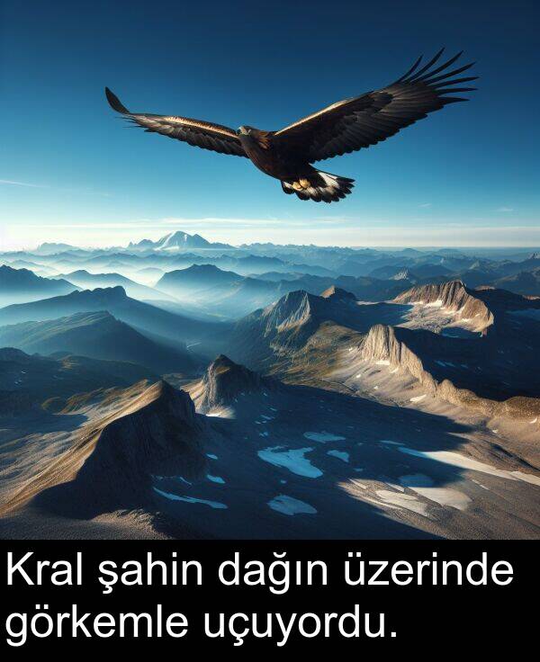 uçuyordu: Kral şahin dağın üzerinde görkemle uçuyordu.
