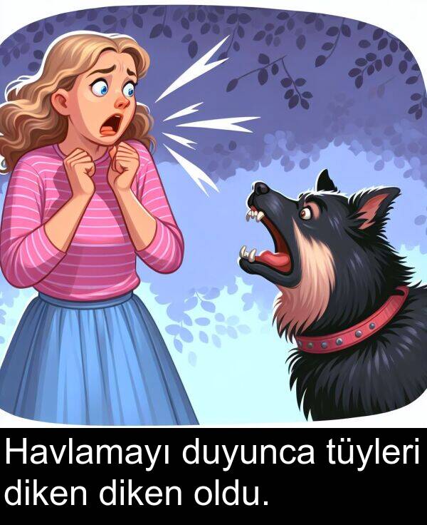 tüyleri: Havlamayı duyunca tüyleri diken diken oldu.