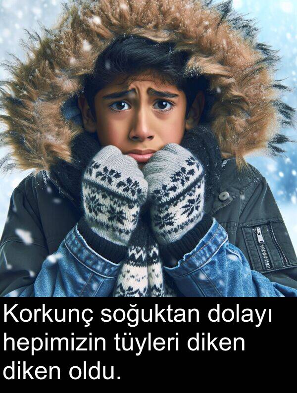 hepimizin: Korkunç soğuktan dolayı hepimizin tüyleri diken diken oldu.