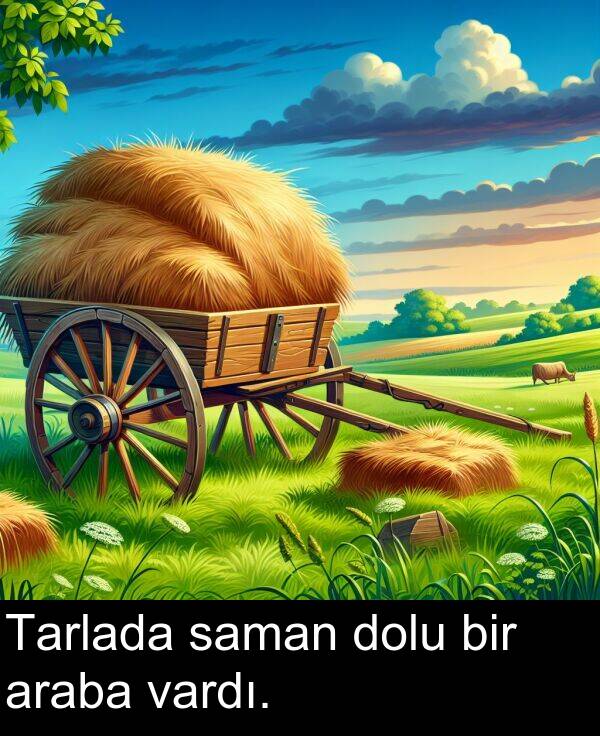 saman: Tarlada saman dolu bir araba vardı.