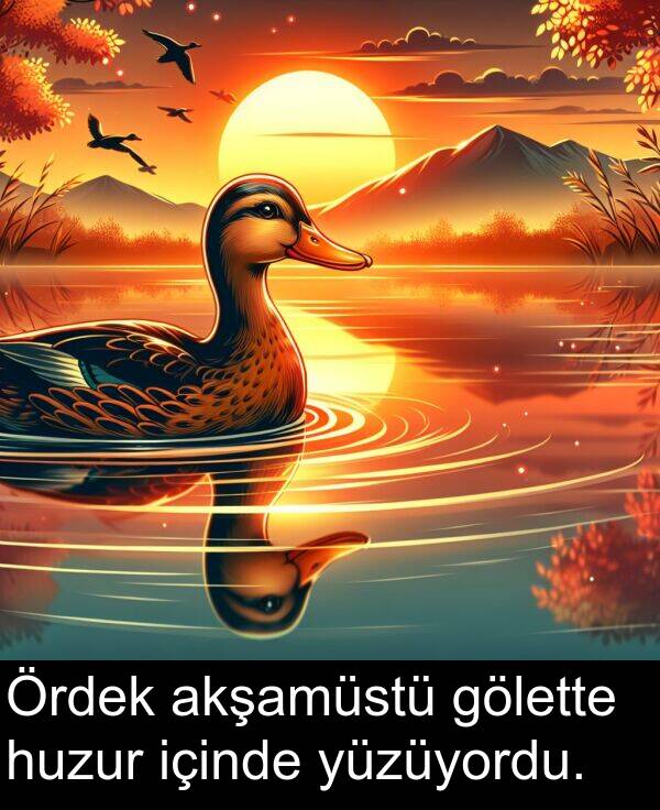 akşamüstü: Ördek akşamüstü gölette huzur içinde yüzüyordu.